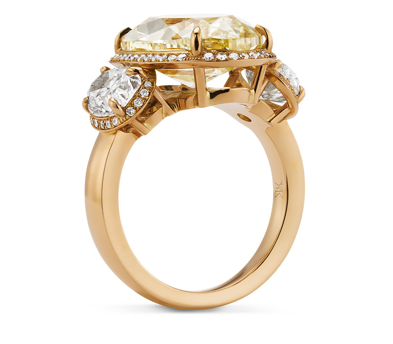 hofmann_hand_d_krieger_ring_1 hofmann_hand_d_krieger_ring_1